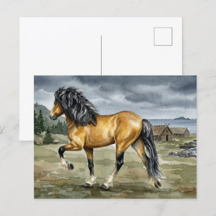 Stormur Icelandic Horse by the Sea Postcard