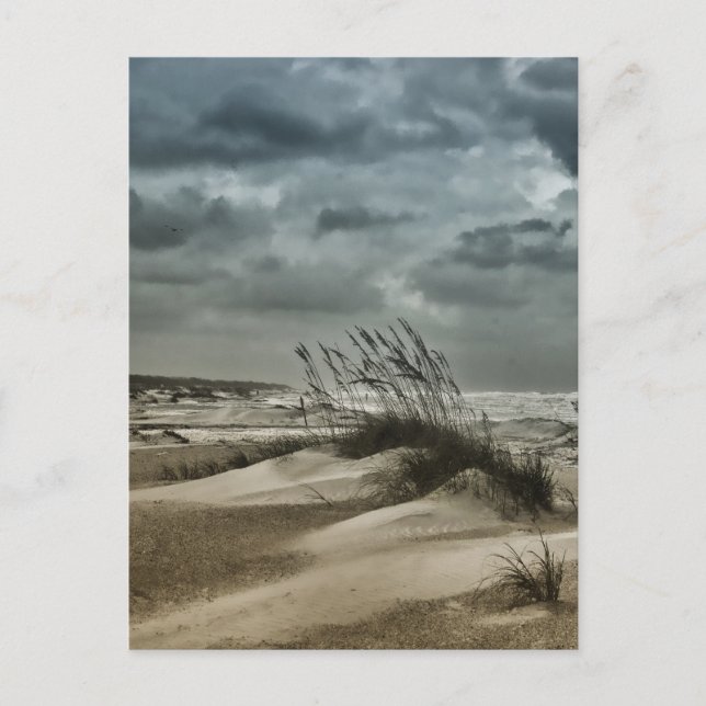 Stormy Anastasia Postcard (Front)