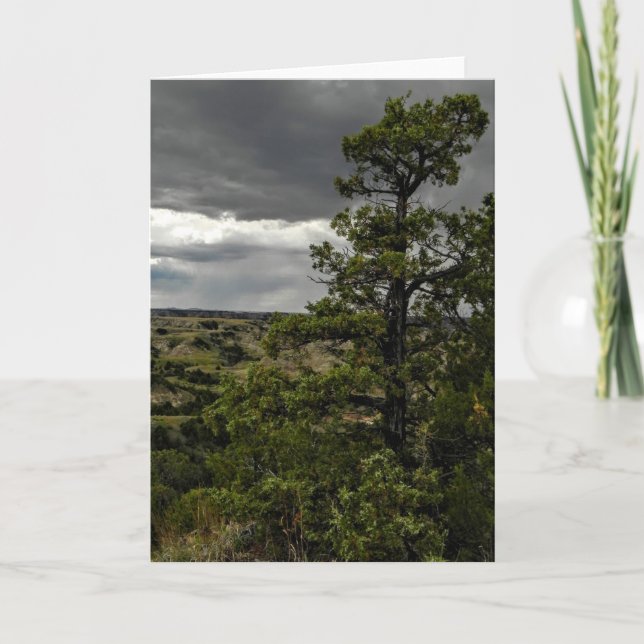 Stormy Badlands & Juniper Tree Note Card (Front)