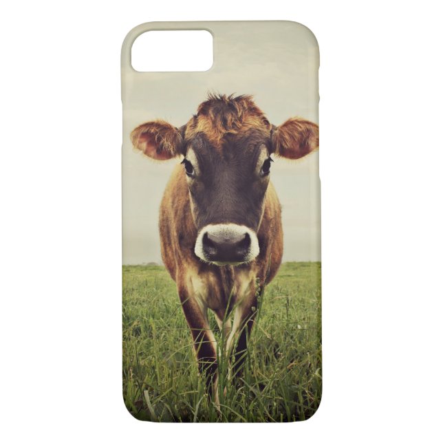 Stormy Case-Mate iPhone Case (Back)