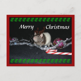 Stormy Christmas Holiday Postcard