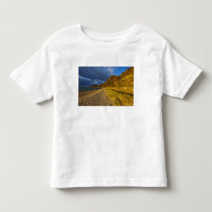 Stormy light on Isla Carmen in the Gulf of Toddler T-Shirt