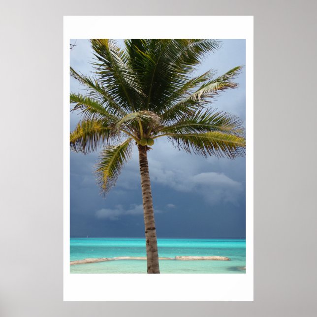 Stormy Paradise Poster (Front)