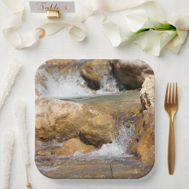 Stormy stream in spring paper plate (Wedding)
