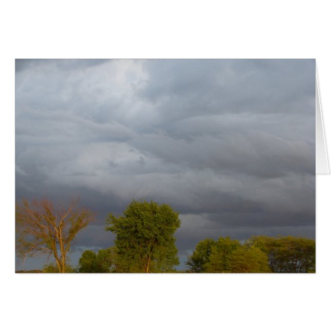 Stormy Weather (Front Horizontal)