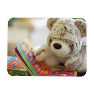Story Time Teddy Bear Magnet