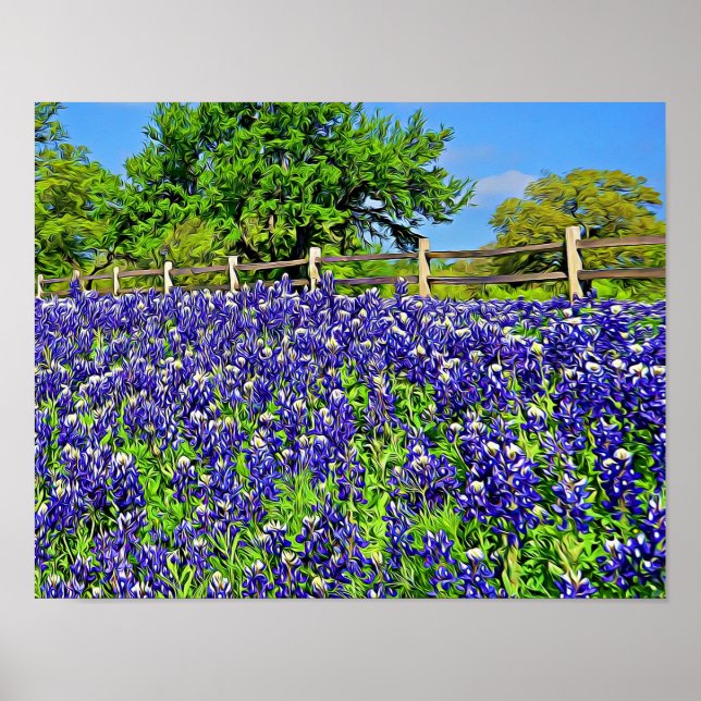 Storybook Bluebonnet Flowers Photographic Art Poster (Front)
