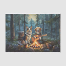 Storybook Campfire Dogs, Outdoor Music