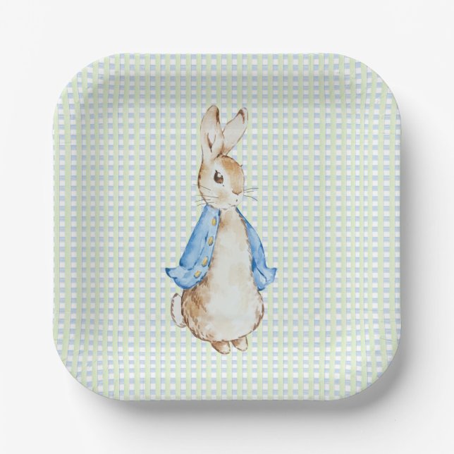 Storybook Garden Rabbit Inspired Baby Shower  Paper Plate (Front)