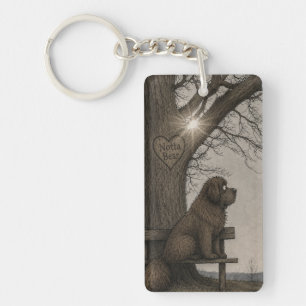 Storybook newfoundland key ring