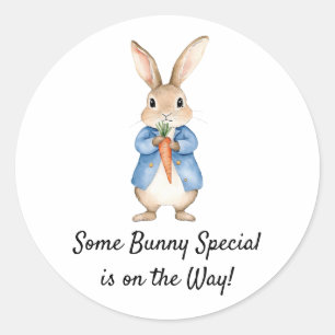 Storybook Rabbit Garden Party Baby Shower Classic Round Sticker