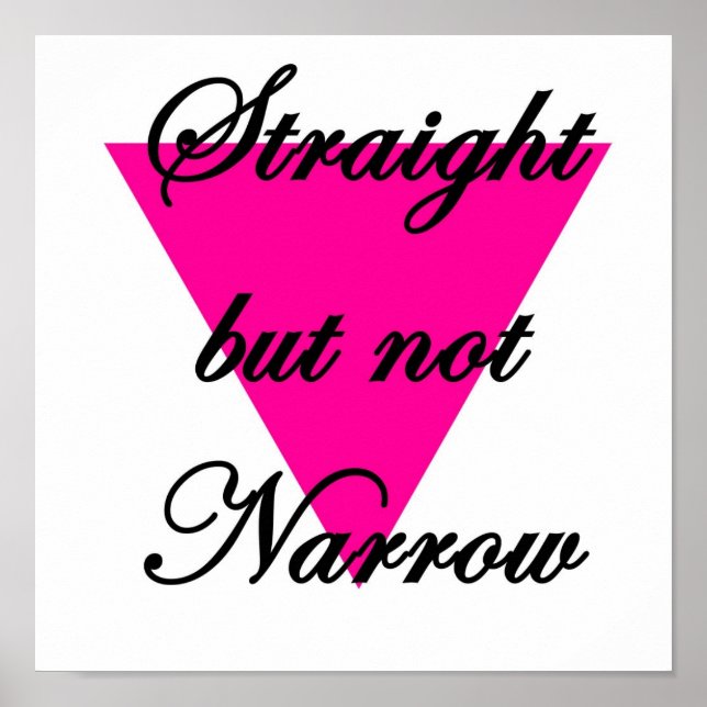 straight but not narrow poster (Front)