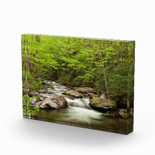 Straight Fork Flows Through Forest Photo Block