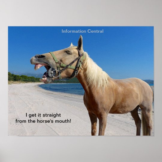 Straight From the Horse's Mouth 16"x12" Poster