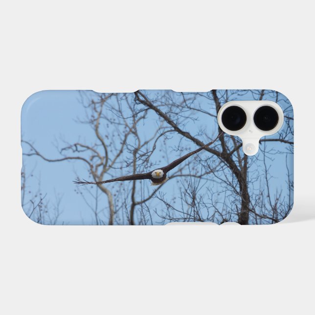 Straight On Eagle (Back (Horizontal))