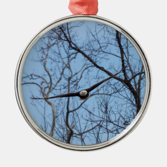 Straight On Eagle Metal Ornament (Front)