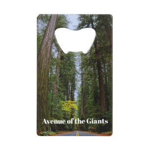 Straight Road Ahead Through Misty Redwood Forest