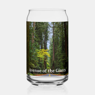 Straight Road Ahead Through Misty Redwood Forest Can Glass