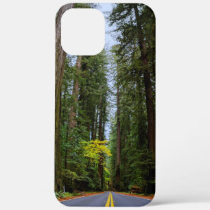 Straight Road Ahead Through Misty Redwood Forest iPhone 12 Pro Max Case