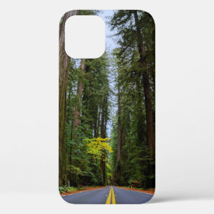 Straight Road Ahead Through Misty Redwood Forest iPhone 12 Case