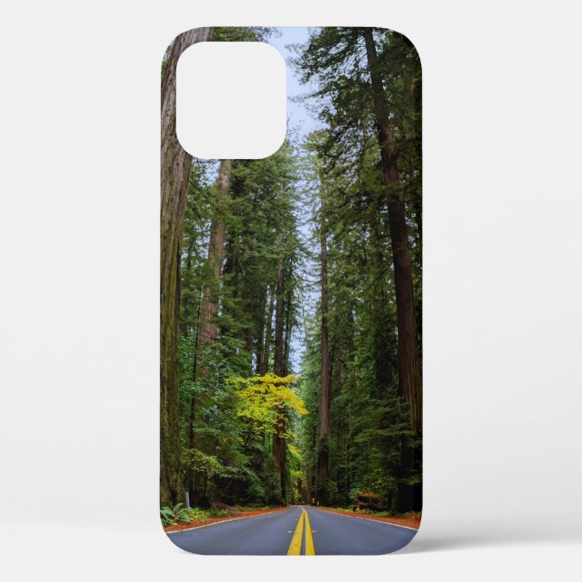 Straight Road Ahead Through Misty Redwood Forest Case-Mate iPhone Case (Back)