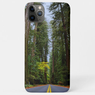 Straight Road Ahead Through Misty Redwood Forest iPhone 11 Pro Max Case