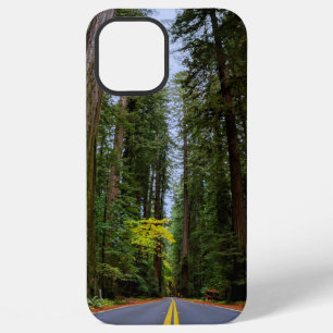 Straight Road Ahead Through Misty Redwood Forest iPhone 12 Pro Max Case