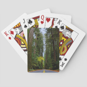 Straight Road Ahead Through Misty Redwood Forest Playing Cards