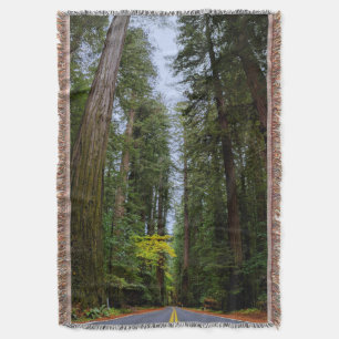 Straight Road Ahead Through Misty Redwood Forest Throw Blanket