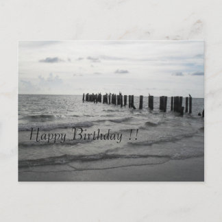 Strand in Florida Pelikane Geburtstagskarte Postcard