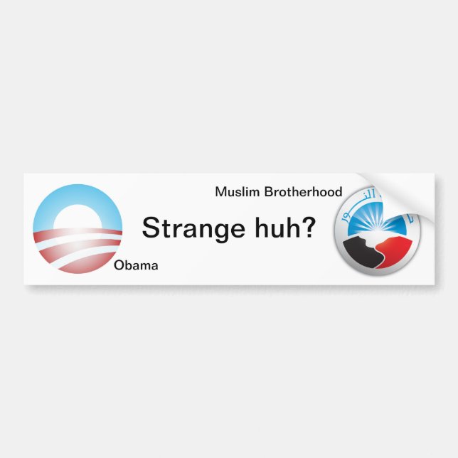 Strange huh? bumper sticker (Front)