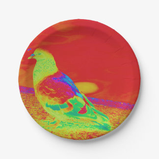 Strange Pigeon Paper Plate