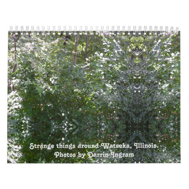 Strange things around Watseka, Illinois Calendar (Cover)
