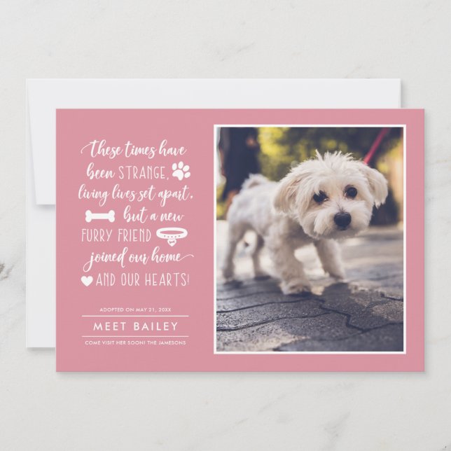Strange Times New Pet Photo Announcement | Pink (Front)