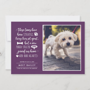 Strange Times New Pet Photo Announcement Plum