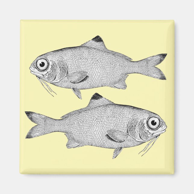 Strange vintage fish drawing magnet (Front)