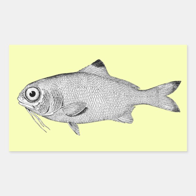 Strange vintage fish drawing rectangular sticker (Front)