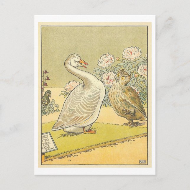 Strange Vintage Illustration with Goose and Owl Postcard (Front)
