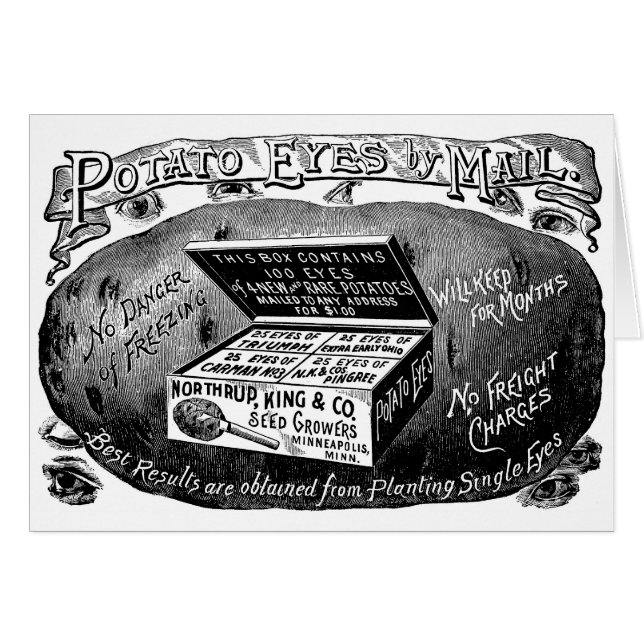 Strange vintage potato advert (Front Horizontal)