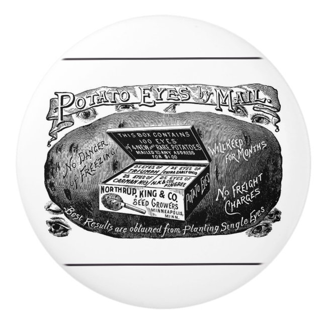 Strange vintage potato advert ceramic knob (Front)
