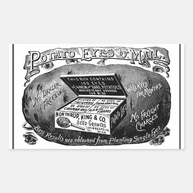 Strange vintage potato advert rectangular sticker (Front)