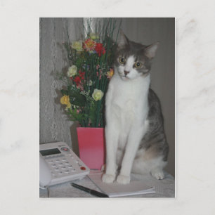 Strange Voices Postcard