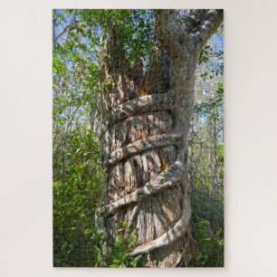 Strangler Fig, Big Cypress National Preserve, FL Jigsaw Puzzle