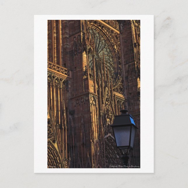 Strasbourg - Cathedral Closeup Postcard (Front)