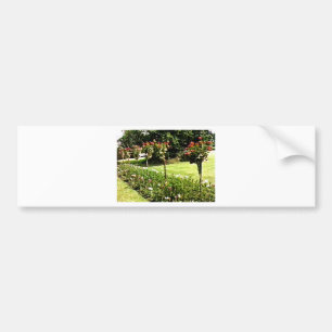 Stratford-upon-Avon Garden Rose snap-29602 jGibney Bumper Sticker