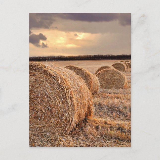 Straw Bales Postcard (Front)