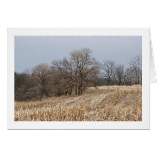 Straw Fields Blank Cards