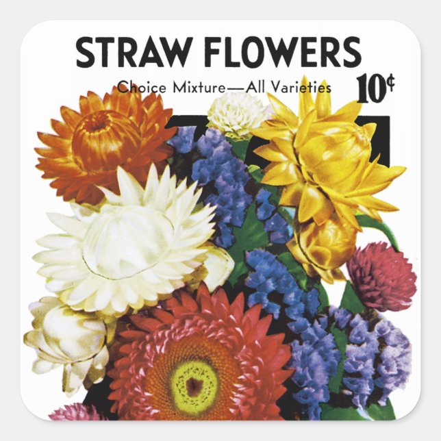 Straw Flowers Seed Packet Label (Front)