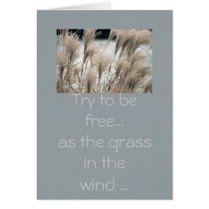 Straw in winter, Try to be