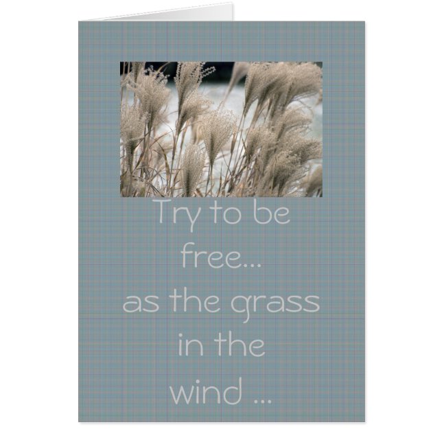 Straw in winter, Try to be (Front)